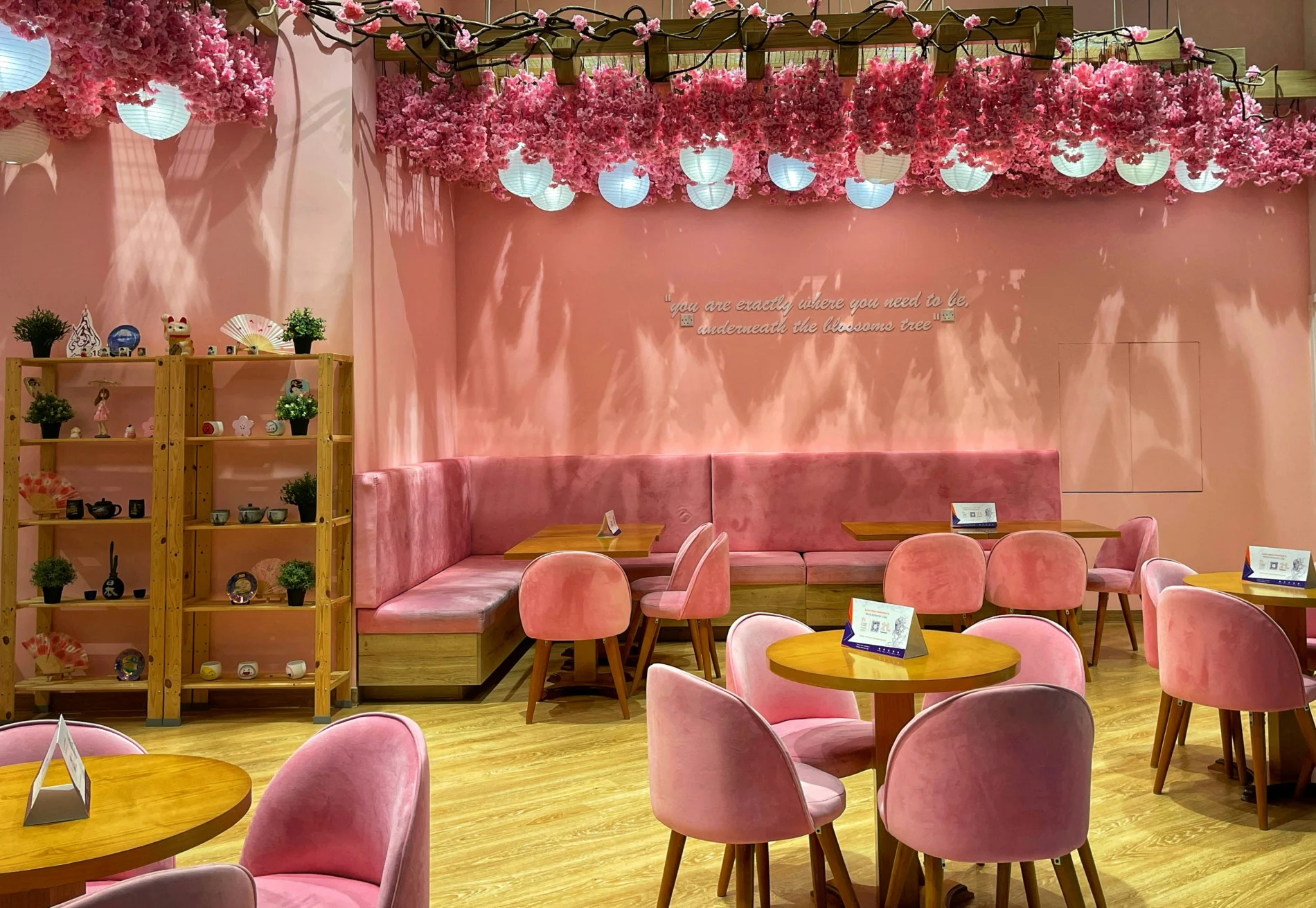 architecte-commerce-interieur-corse-magasin-restaurant